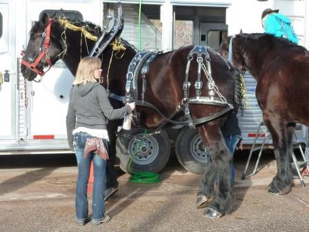 February 2013 Wickenburg Gold Rush Days Parade Photos