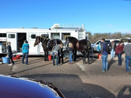 February 2013 Wickenburg Gold Rush Days Parade Photos