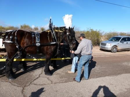 February 2013 Wickenburg Gold Rush Days Parade Photos