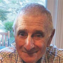 Michael Mattera