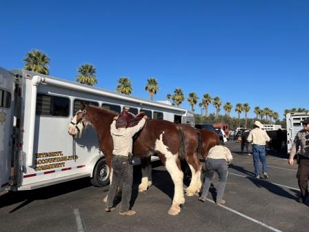 2023 Phoenix Veterans Day Photos