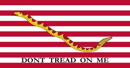 The First Navy Jack.